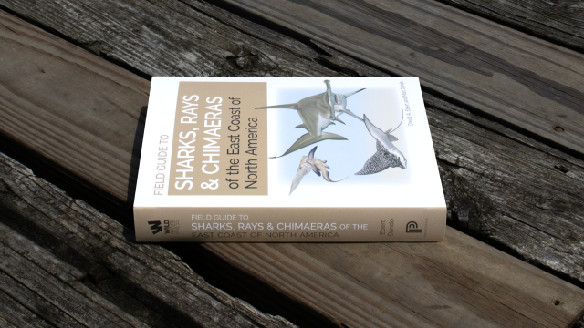 Sharks, Rays & Chimeras of the East Coast of North America book spine..