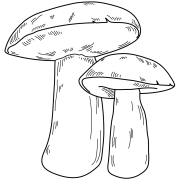 Decorative illustration of two mushrooms
